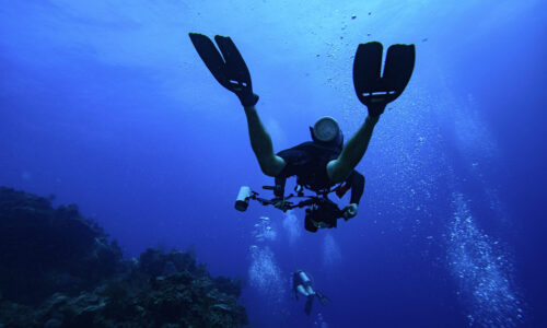 Professional Divers