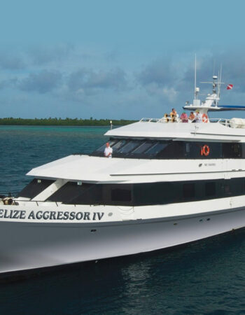 Belize Aggressor IV