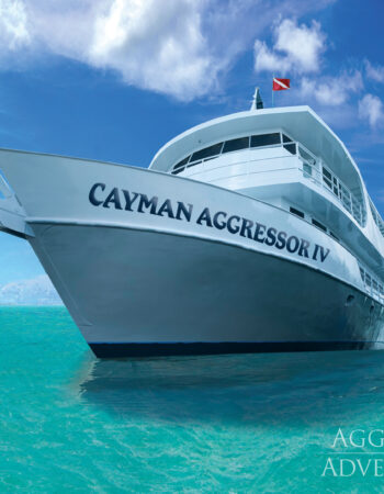 Aggressor Cayman Islands