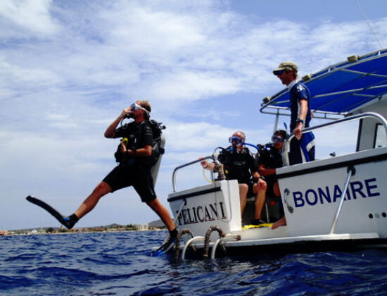 Dive Friends Bonaire @ Sand Dollar