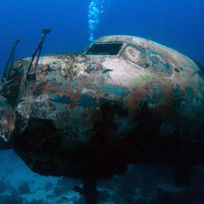 Palm Beach Divers Aruba