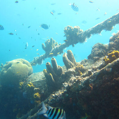 Palm Beach Divers Aruba